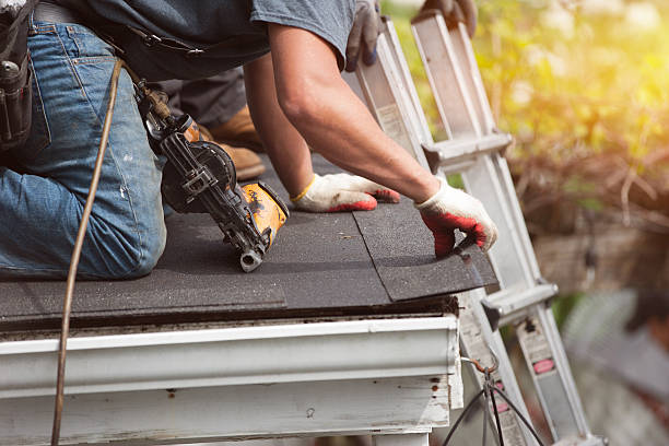 Best Roof Gutter Cleaning  in Desert Hills, AZ